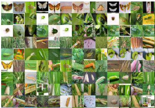 image-20211204111514857