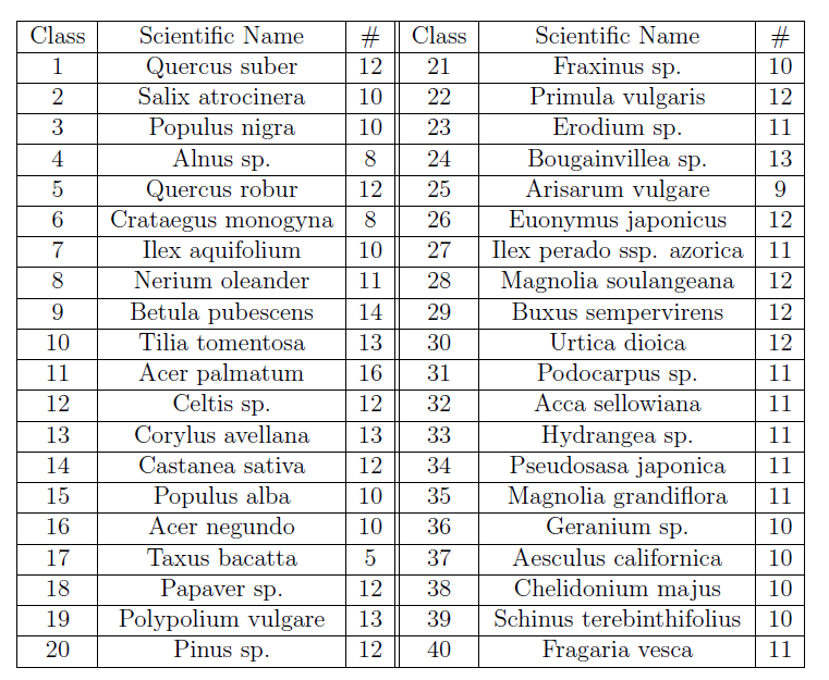 image-20211205122842218