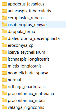 image-20211205114411528