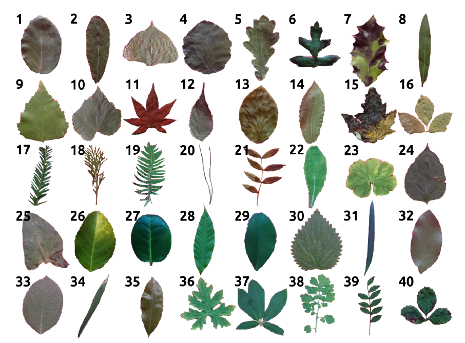 image-20211205122913938