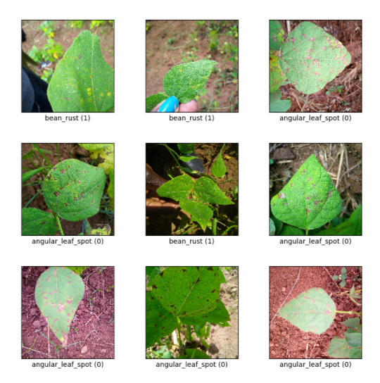 image-20211205131051056