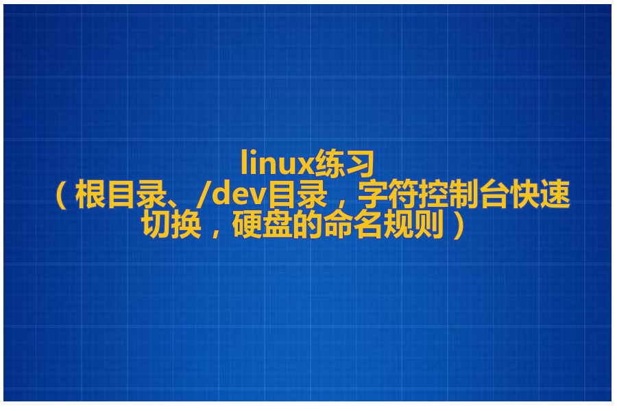 linux练习（根目录、/dev目录，字符控制台快速切换，硬盘的命名规则）