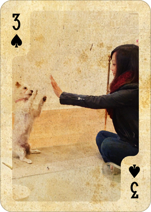 seven_of_spades