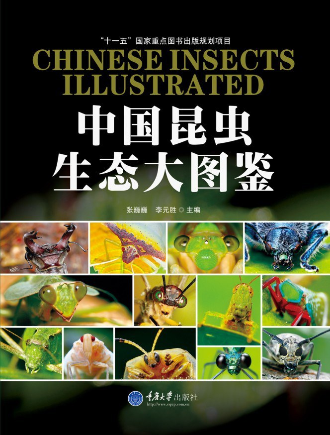 《中国昆虫生态大图鉴》全彩版高清PDF图书下载
