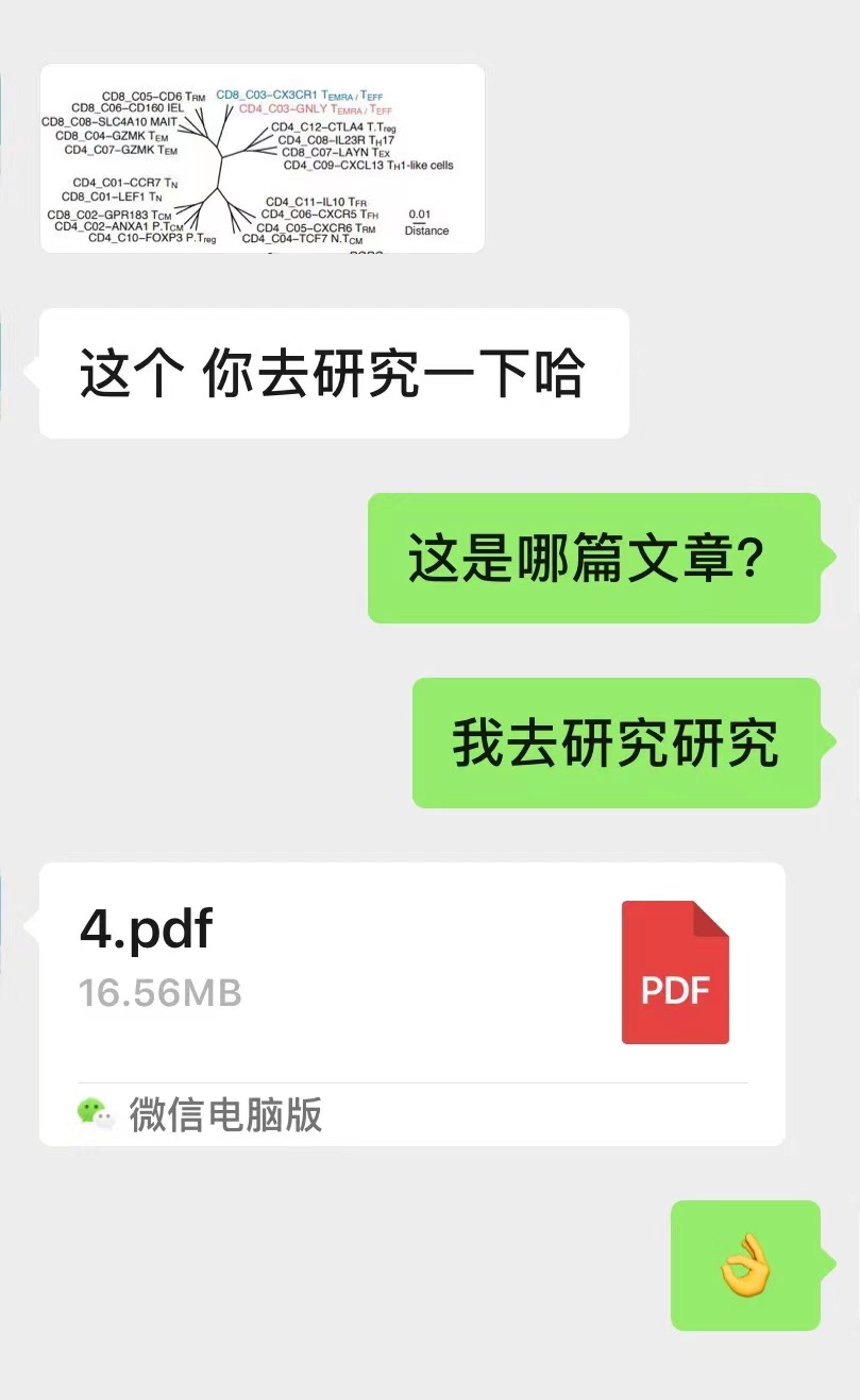 对话