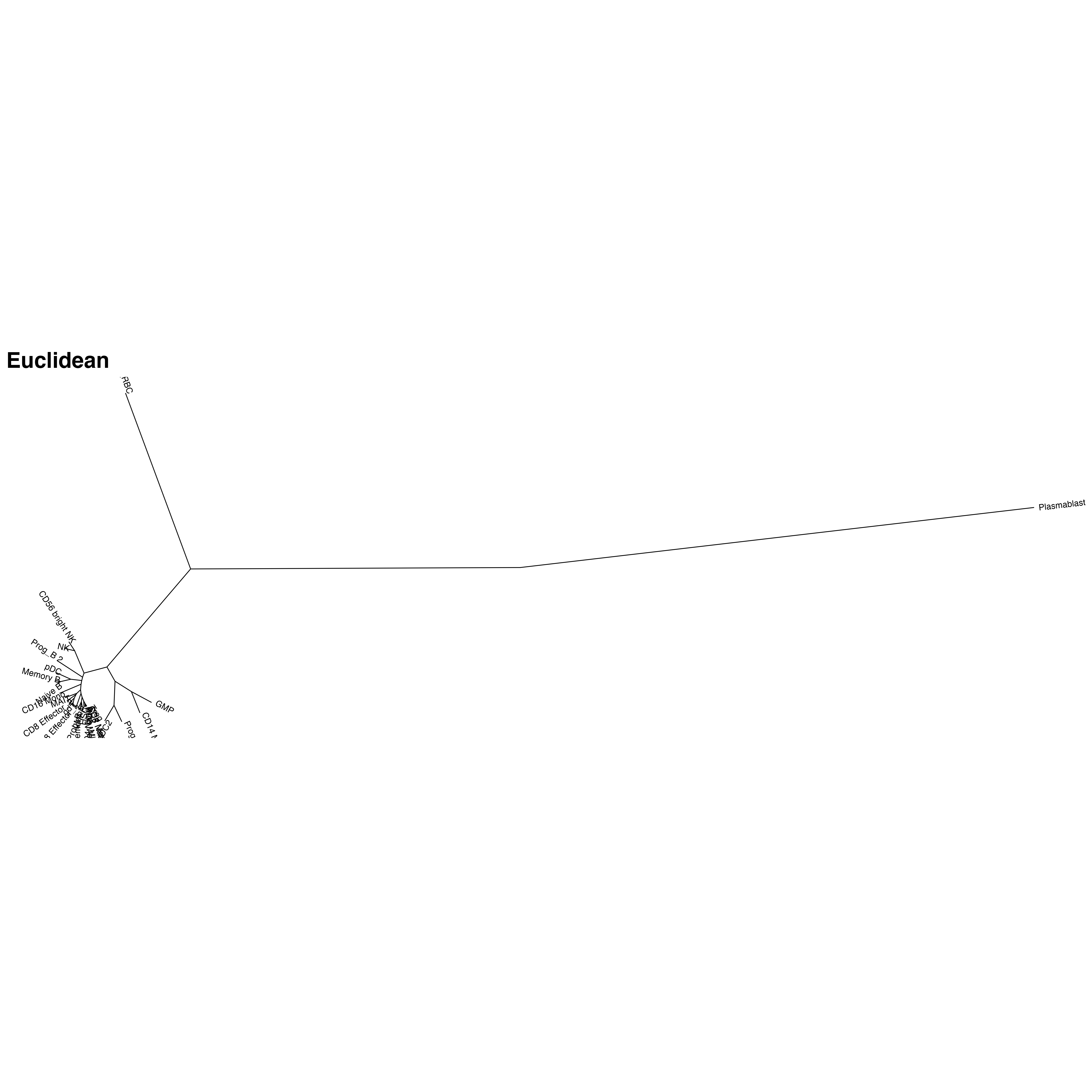 euclidean