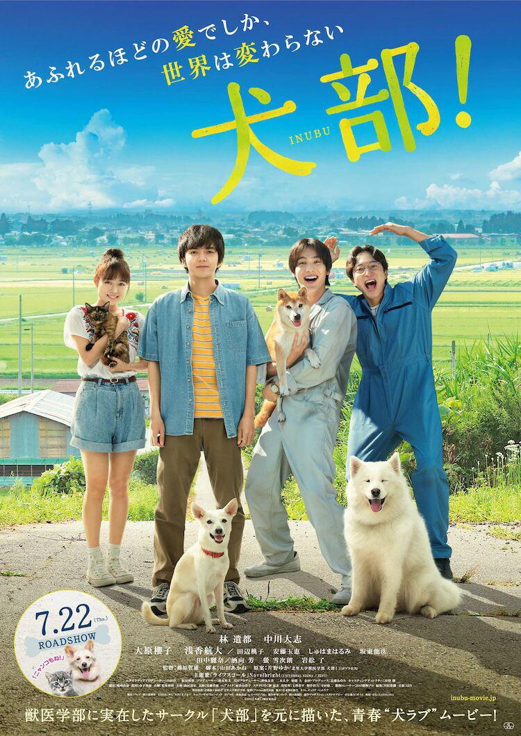 《犬部！》[2021日本动物保护故事片][BD高清中字/网盘]