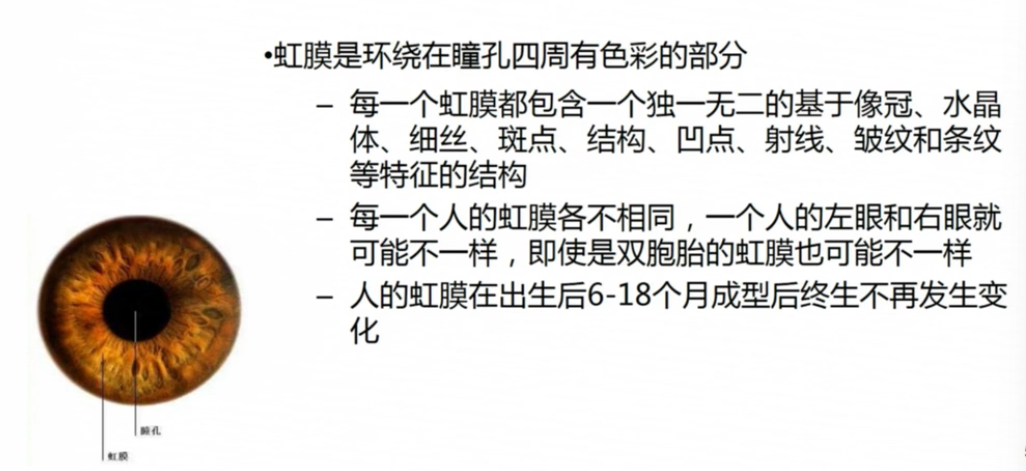 image-20220127133650118