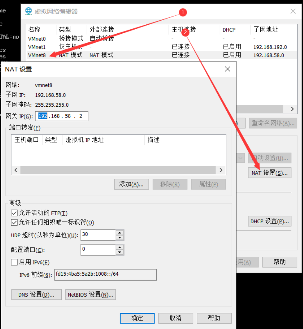 image-20220211185857332