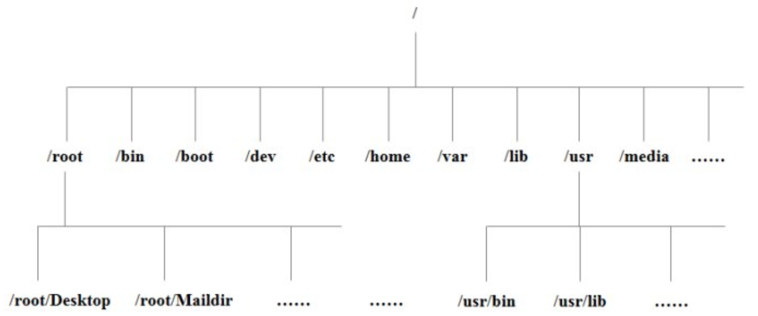 image-20220211190908709