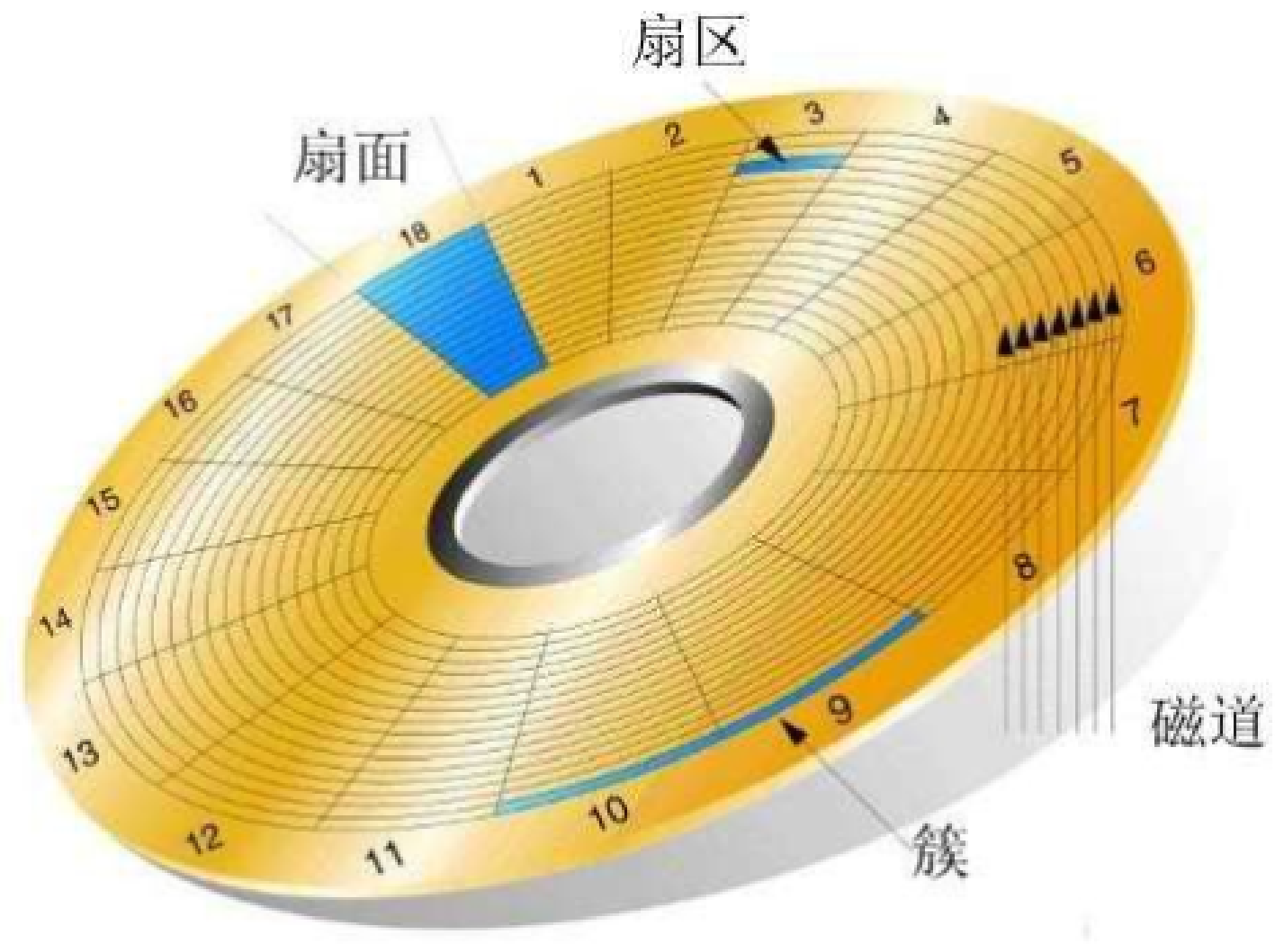 image-20220211184101589