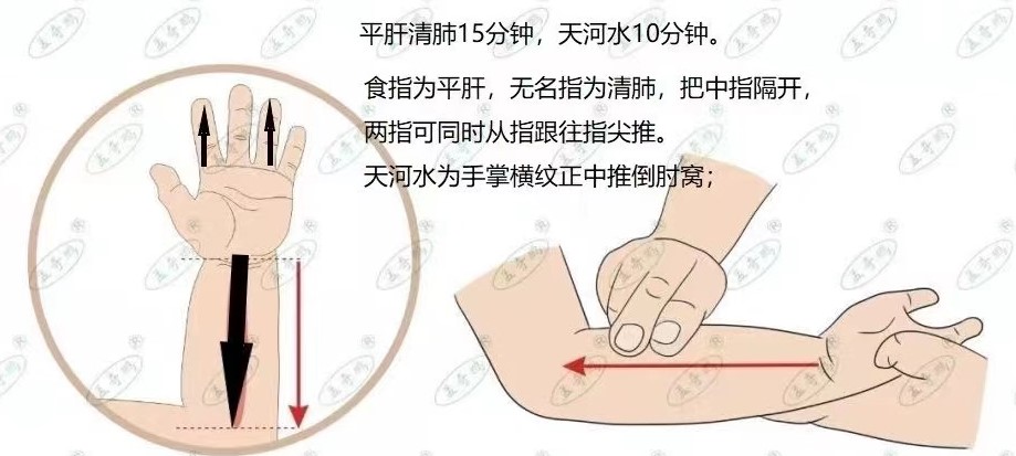 平肝肺 _2_.jpg