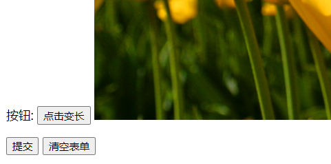 image-20220303225249949