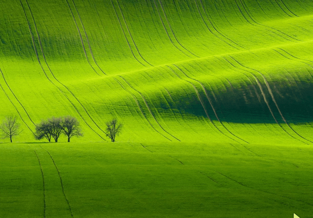 文档设置不压缩图片