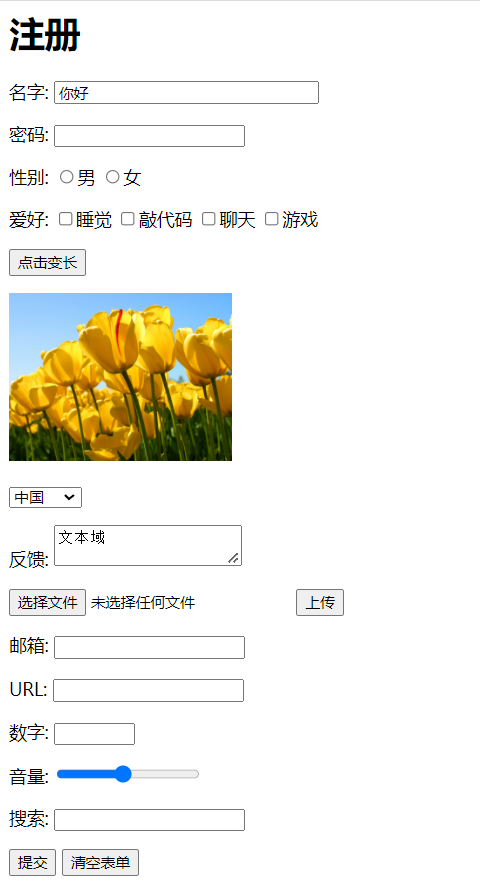 image-20220303233235864