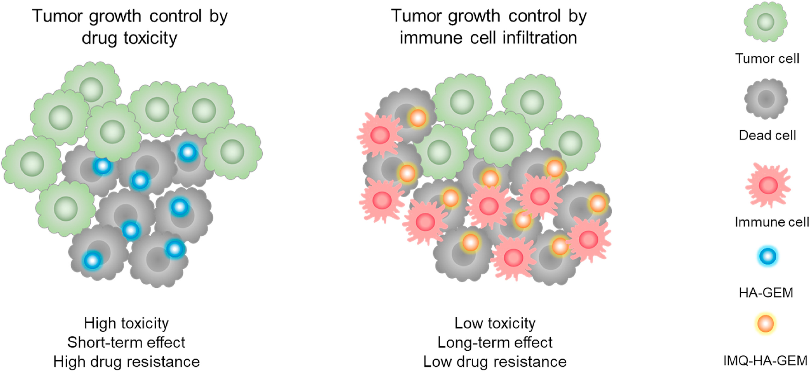 figure7.jpg