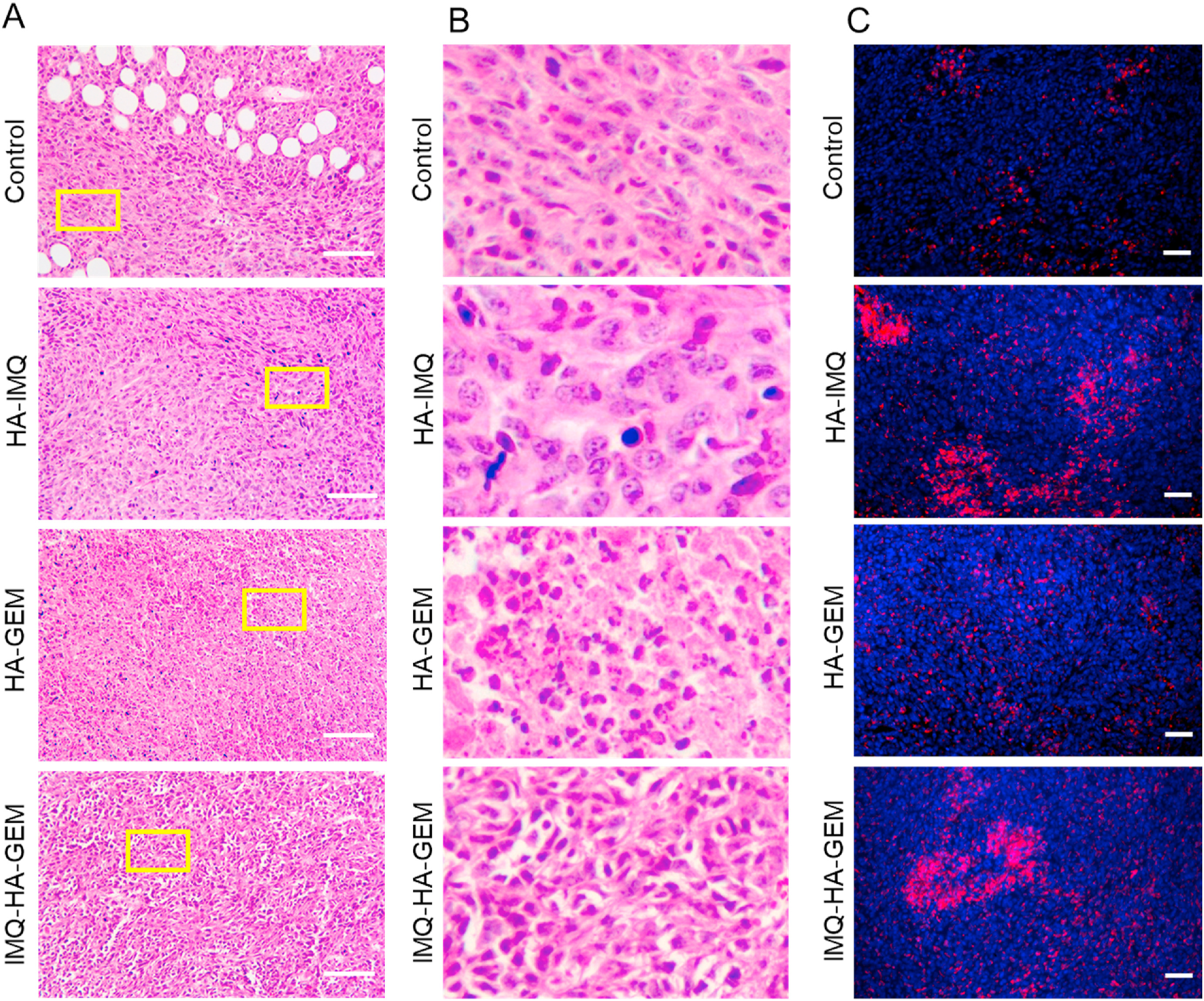 figure6.jpg