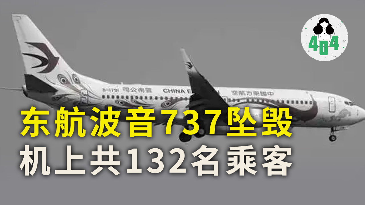 东航一架波音737飞机MU5735坠毁，机上共132名乘客