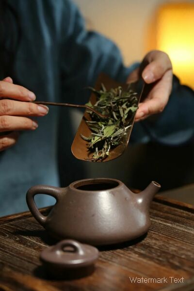 陶瓷和紫砂哪个更好？ - 图1