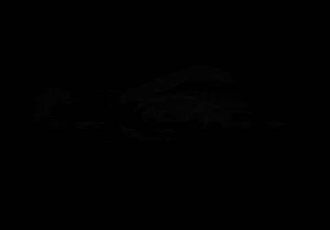 fovEabPnszYRpW1.gif