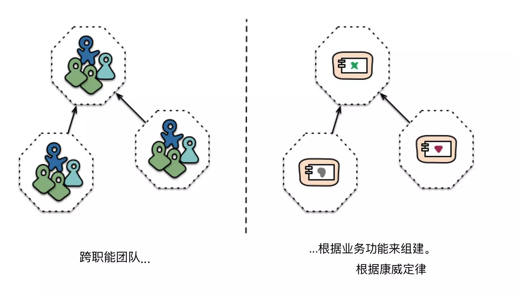 跨职能团队(根据业务功能来组织团队)