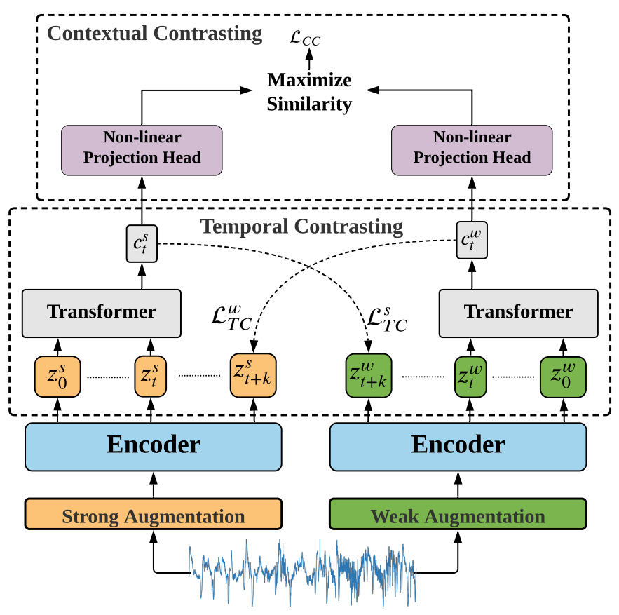 TS-TCC_1.png