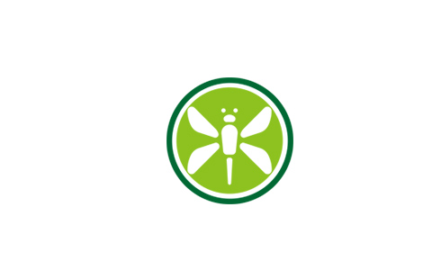盒子视界v1.0.3 电视版