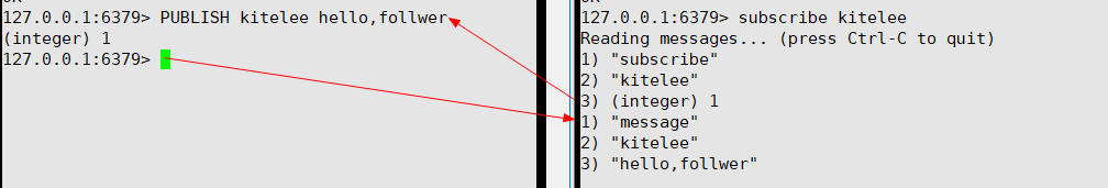 image-20220510155349285