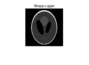 shepp-logan