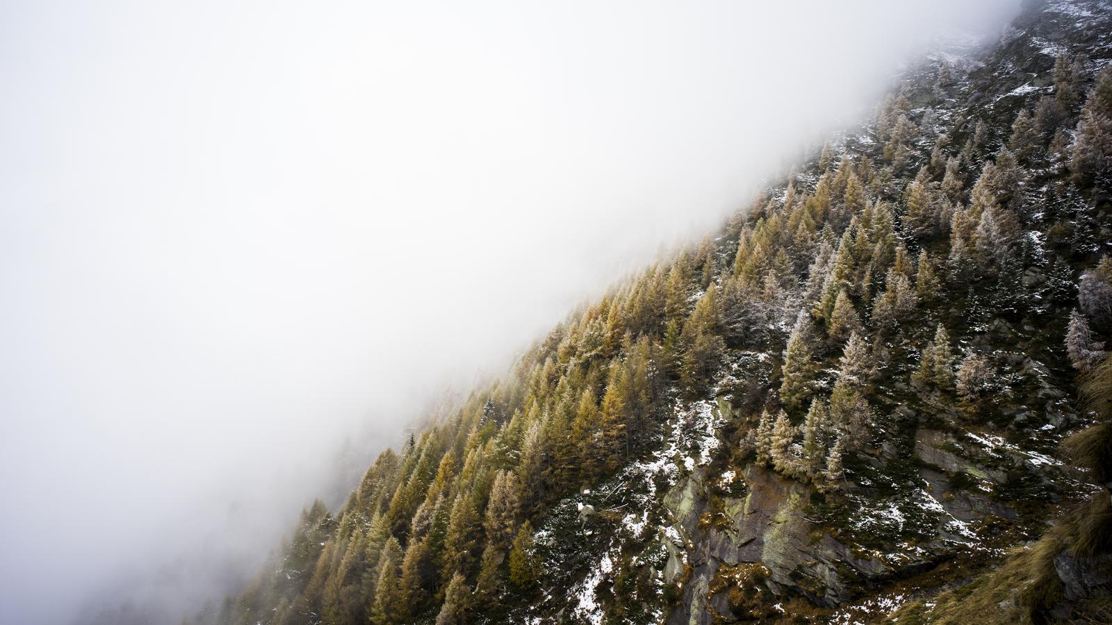 面向对象程序设计实验6