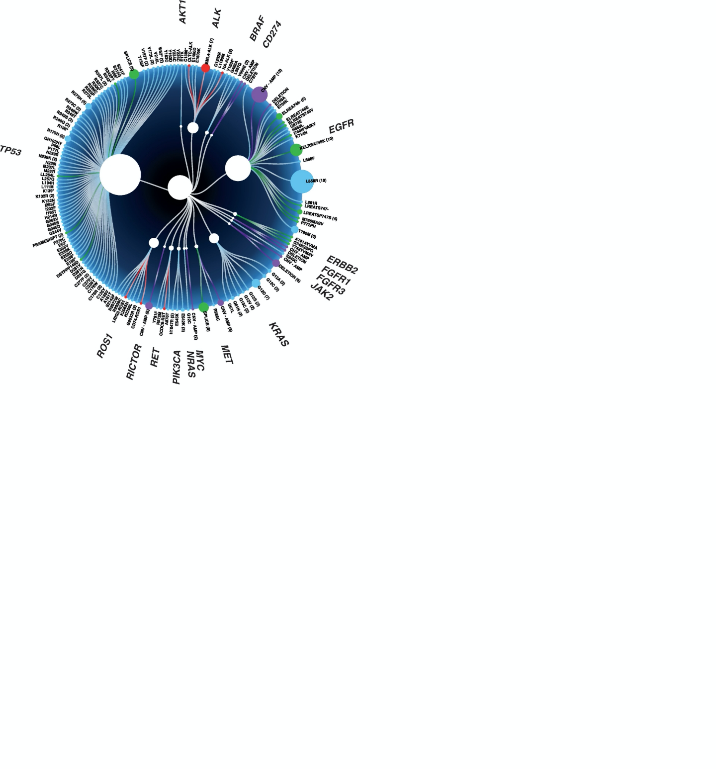 image-20220512212841049