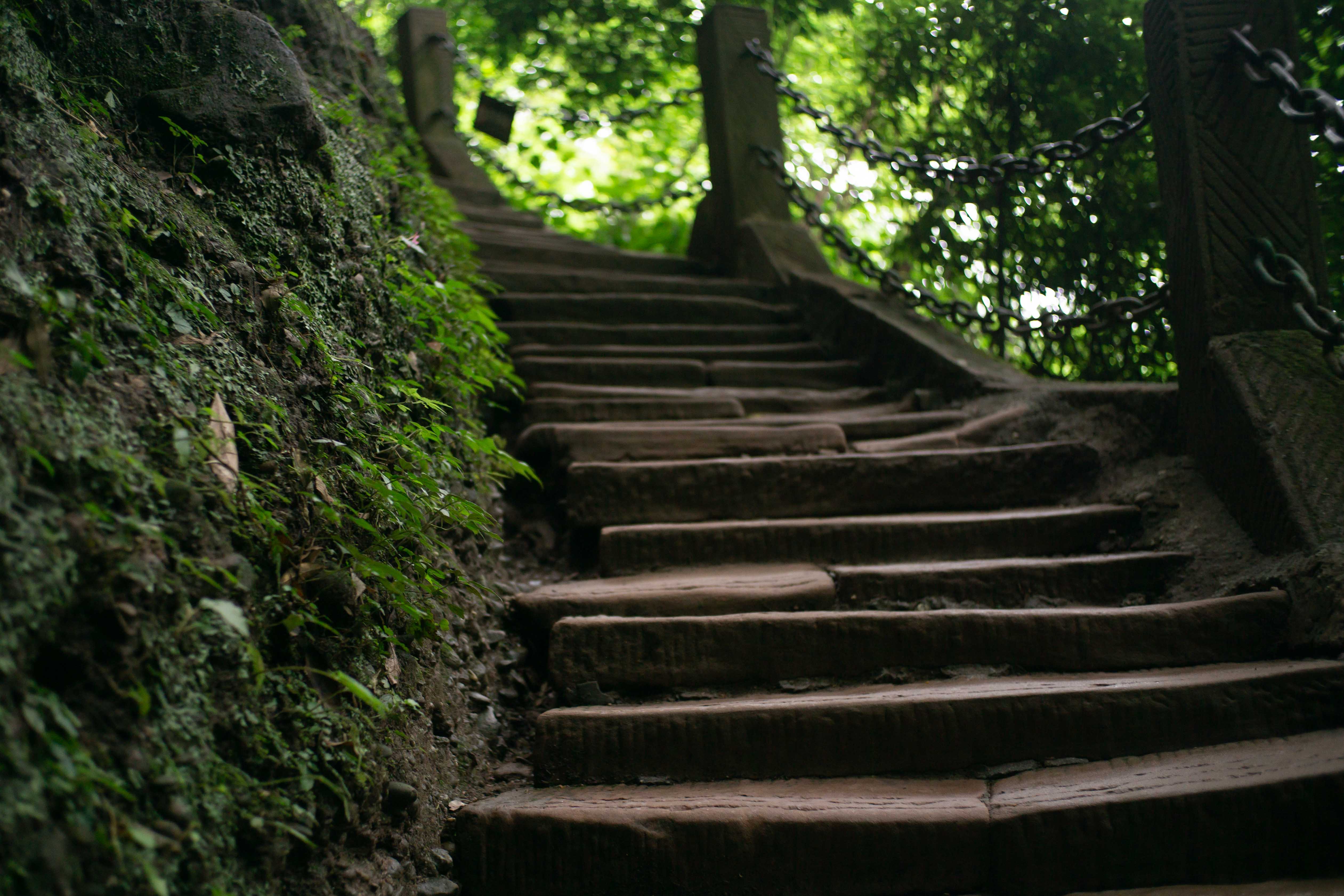 蜿蜒山径