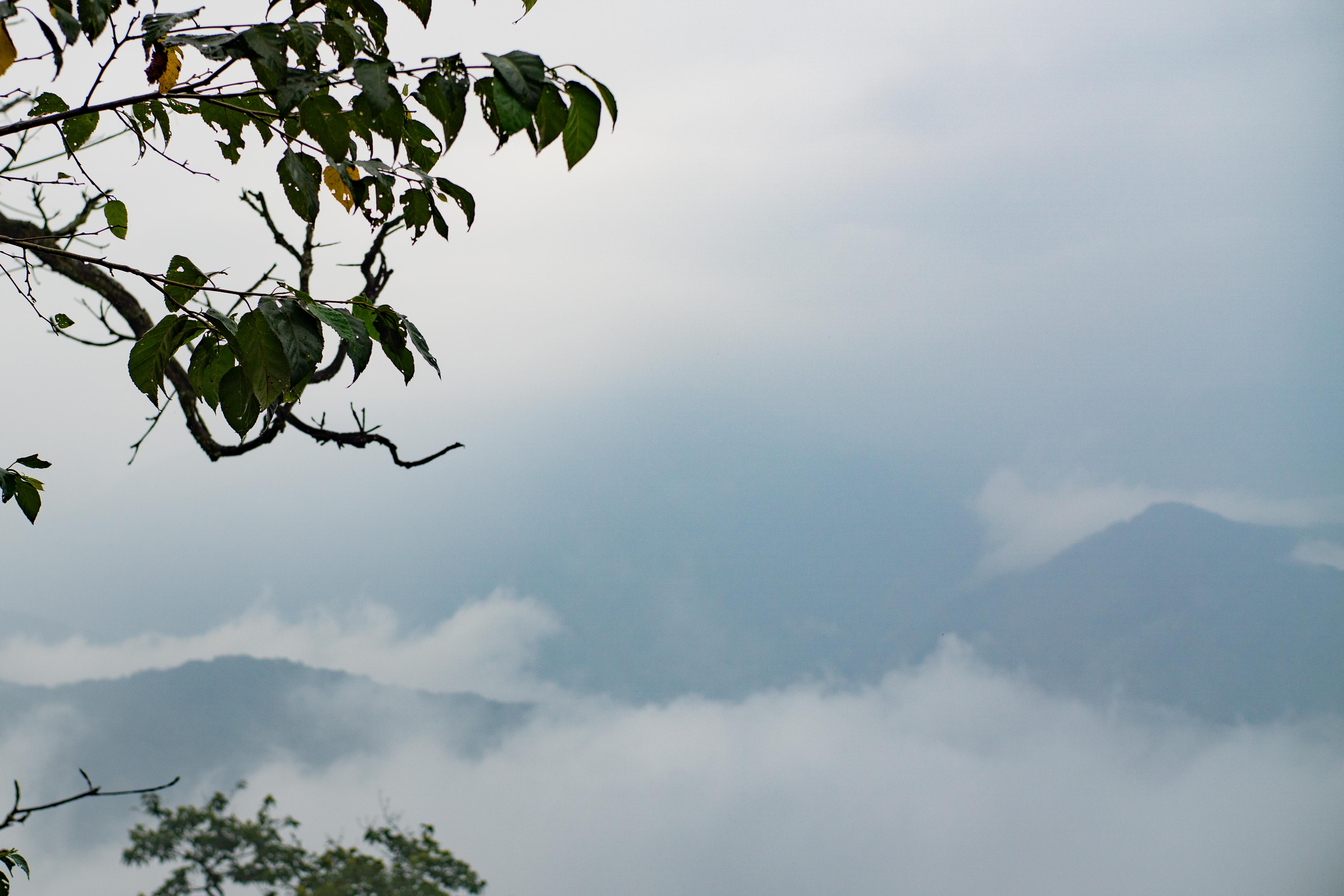 山川云间生，蝼蚁道里行