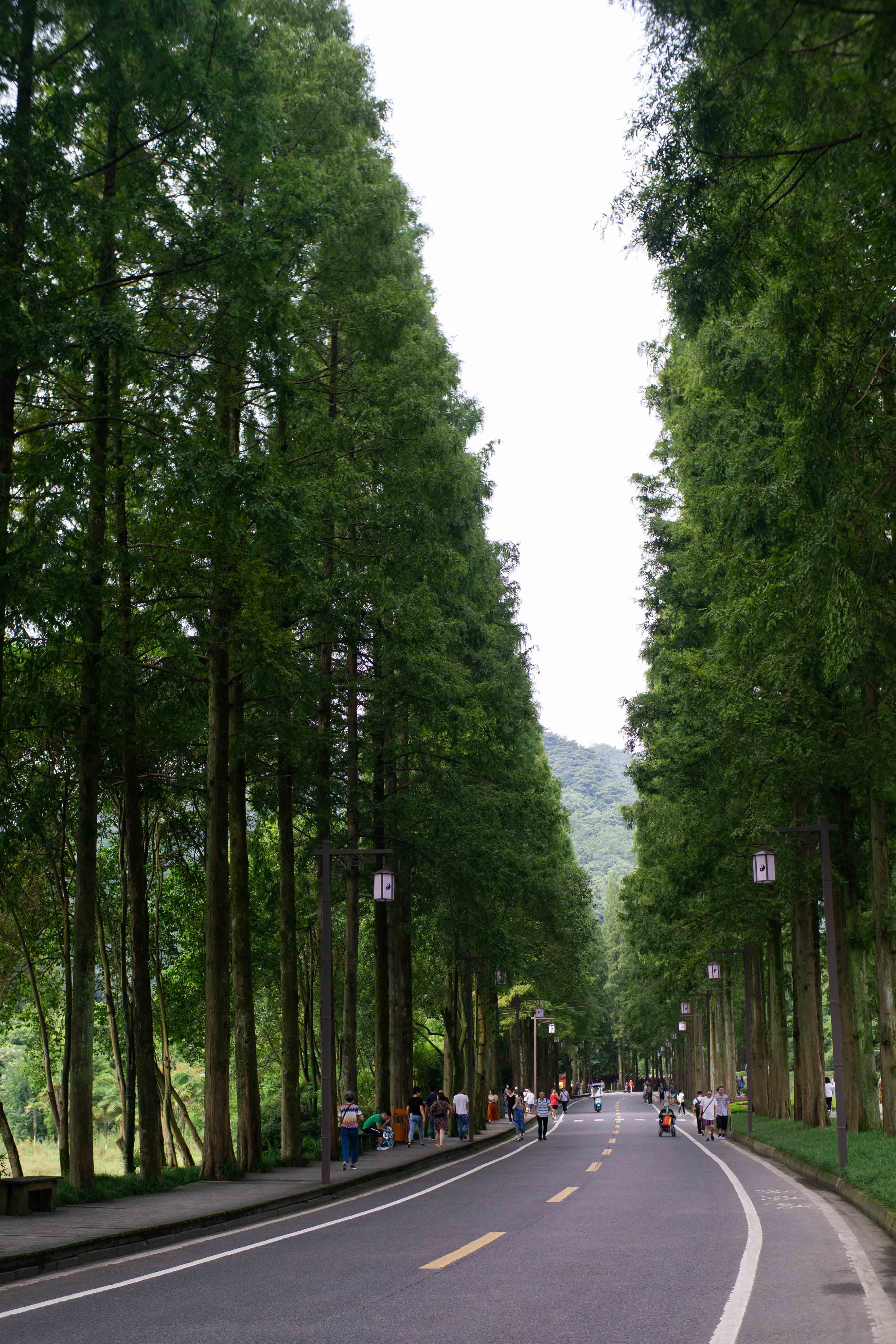 山前步道