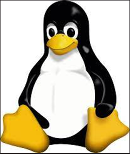 Linux folder