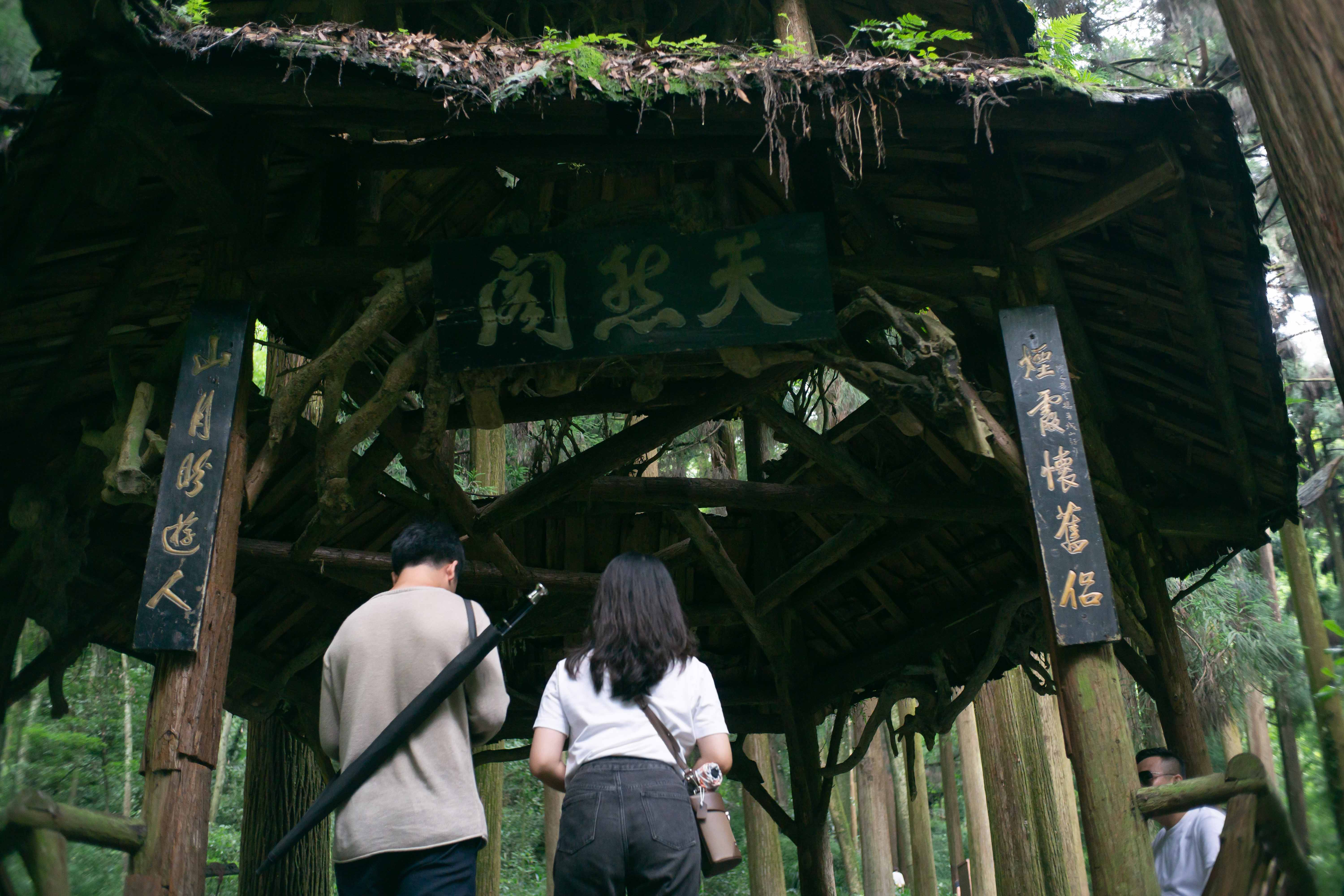 烟霞怀旧侣，山月盼归人