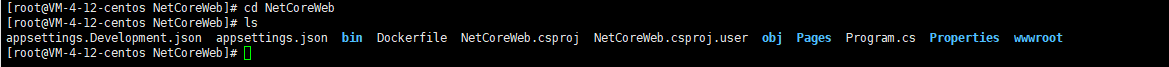 .NET 6 从0到1使用Docker部署至Linux环境-小白菜博客