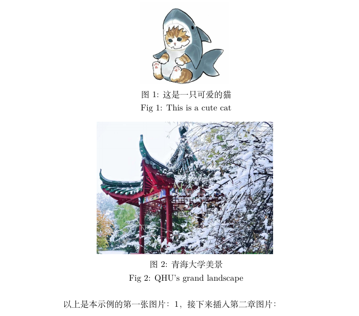 02-图片双语标题之插入多图示例.png
