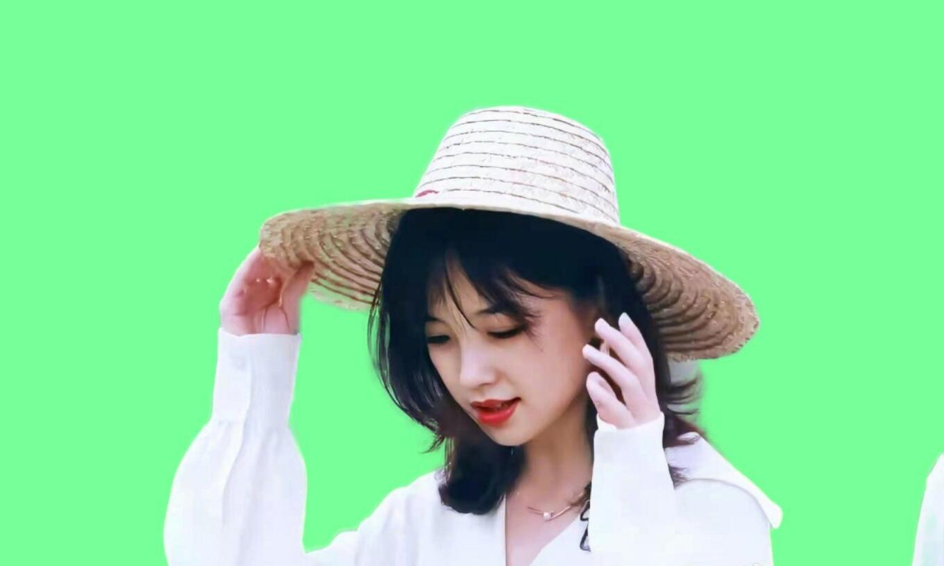 分享一款 AI一键视频抠图工具 Matting tool by CS V1.4免费|精细抠图|离线|无需额外配置|打开直接用【WIN】插图2 分享一款 AI一键视频抠图工具 Matting tool by CS V1.4免费|精细抠图|离线|无需额外配置|打开直接用【WIN】插图2