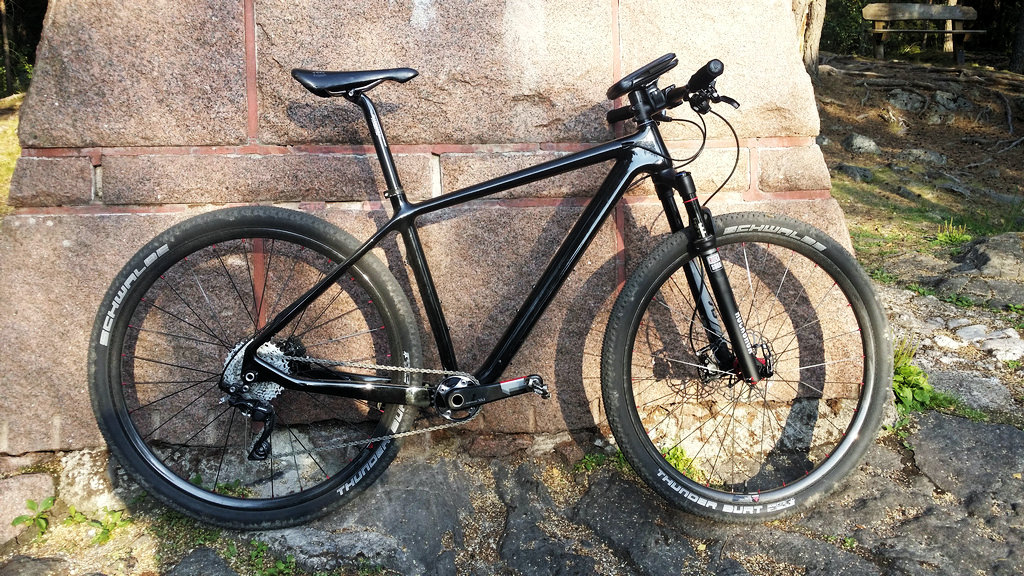 Carbonal 29er Gaea hardtail bike