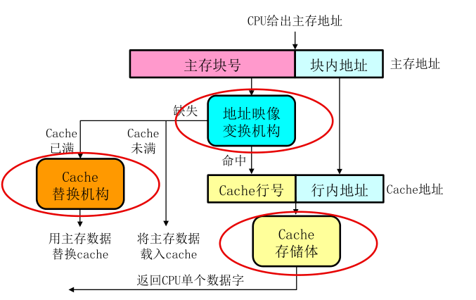 cache基本结构