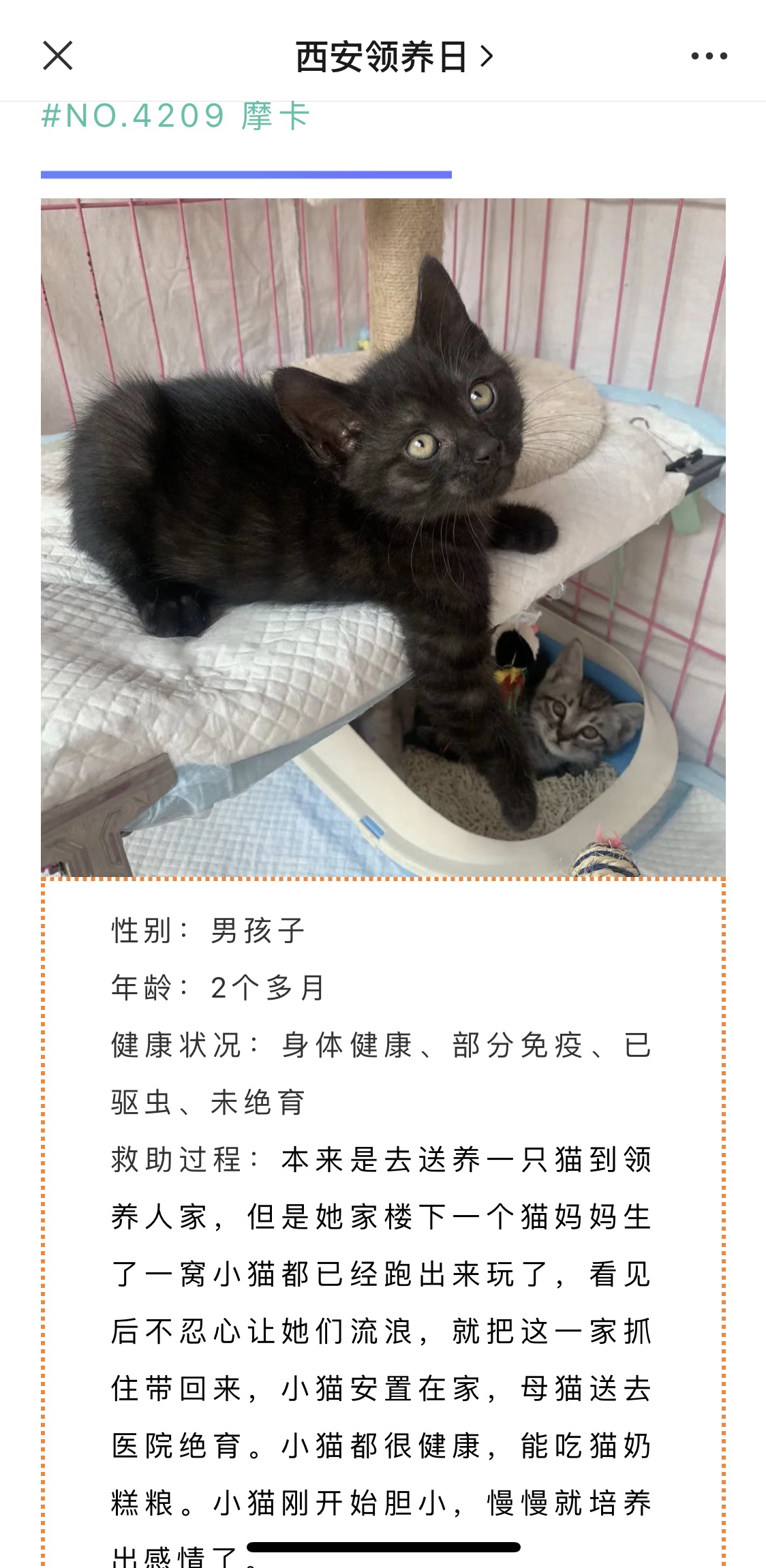 太像了!