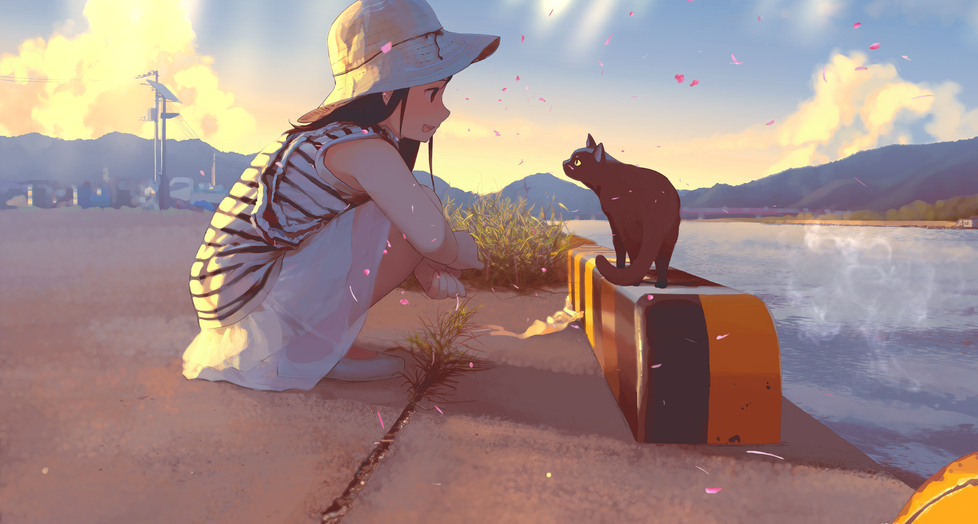 认识Markdown编辑器