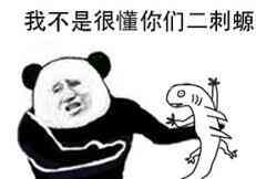 不是很懂你们二次元.jpg