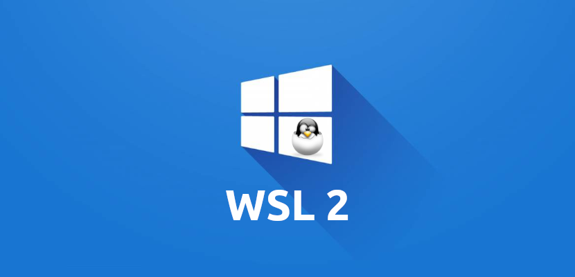 WSL2内使用Windows的v2ray代理