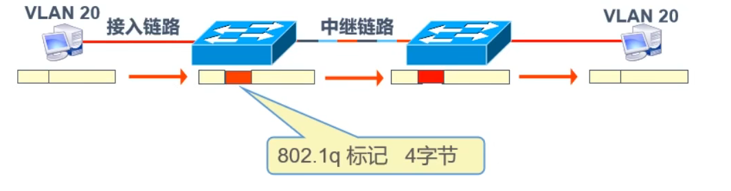 image-20220606184600619