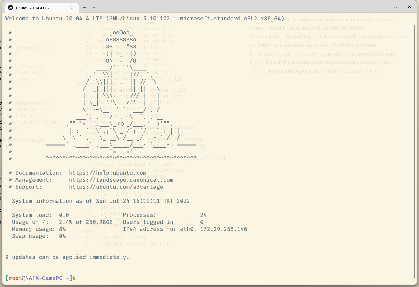 配置美化bash和vim