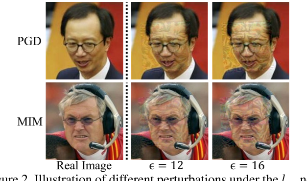 Figure 2. Illustration of different perturbations under the l∞ norm. More examples are presented in Appendix D.