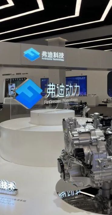 实践_弗迪2.jpg