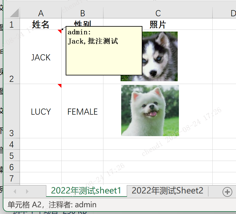 sheet1插入了照片及批注